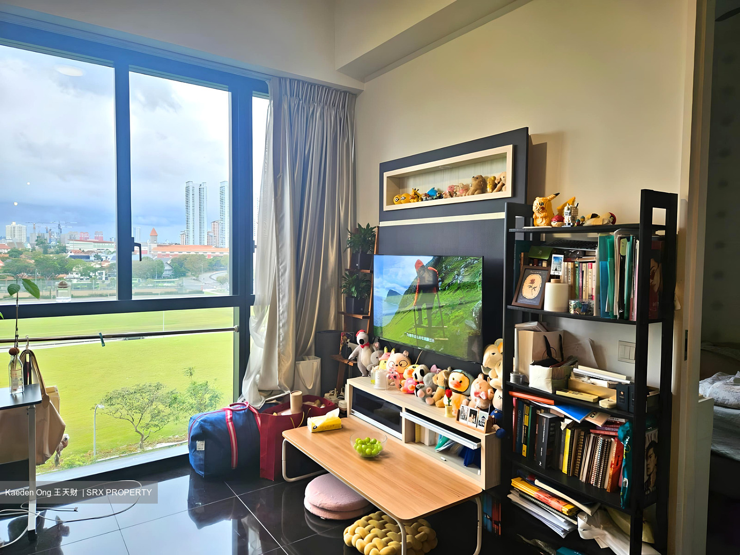 Sky Vue (D20), Condominium #602890671